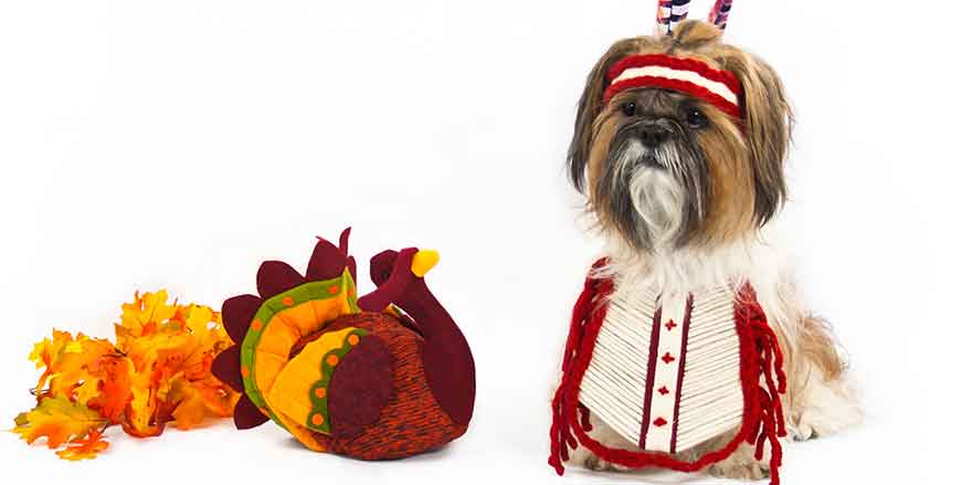 How to win over your pet-despising family members this Thanksgiving